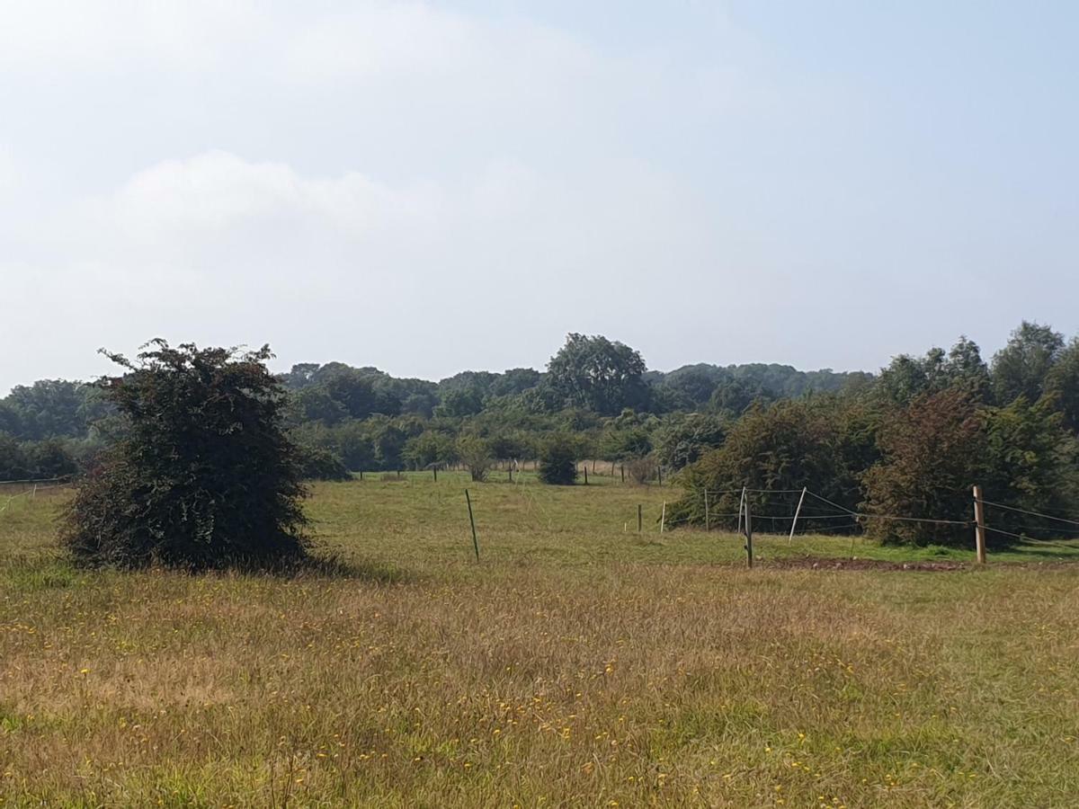 Open acres accommodation&airport parking Backwell Extérieur photo
